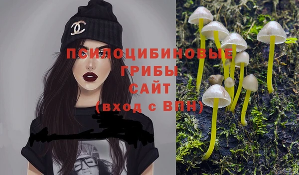 мяу мяу мука Балахна